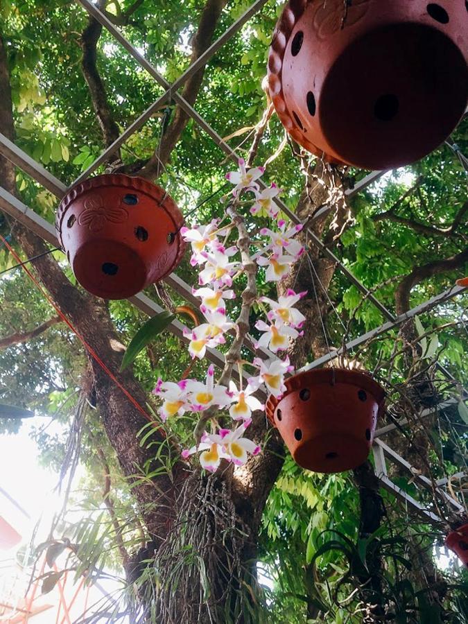 Homestay Vuon Nhan Pleiku Exteriér fotografie